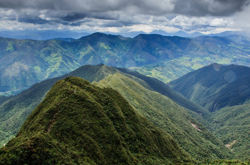 Podocarpus National Park, Loja & Zamora-Chinchipe, Ecuador